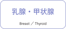 乳腺・甲状腺