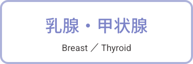 乳腺・甲状腺